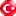 Türkçe